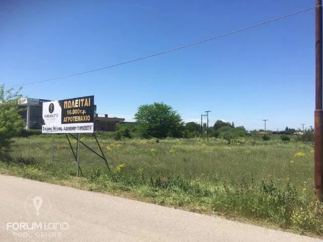 Land Parcel 16000m²  - 5