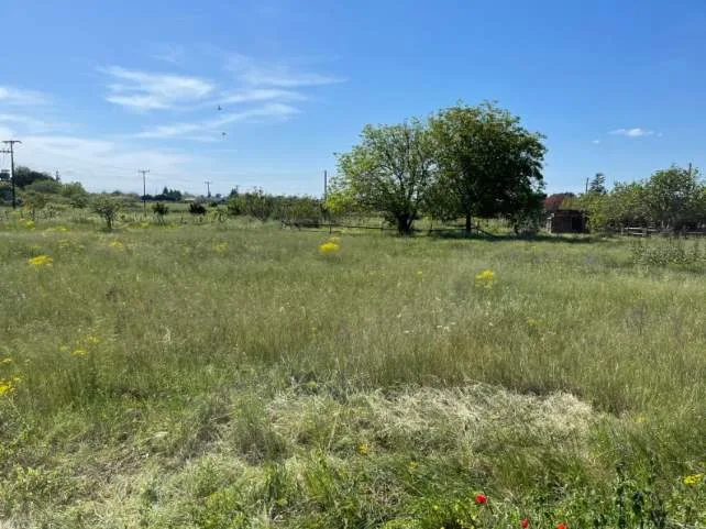 Land Parcel 16000m²  - 2