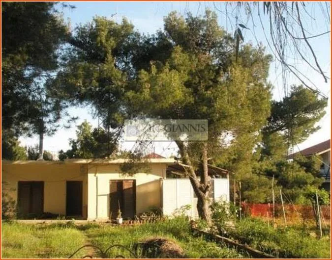 Plot 910m²  - 2