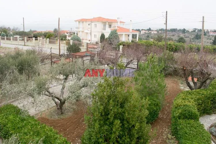 Μονοκατοικία 320τ.μ.  - 2