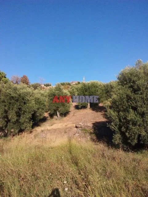 Αγροτεμάχιο 2660τ.μ.  - 3