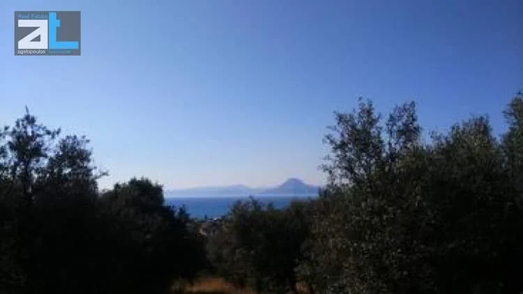 Αγροτεμάχιο 3681τ.μ.  - 3
