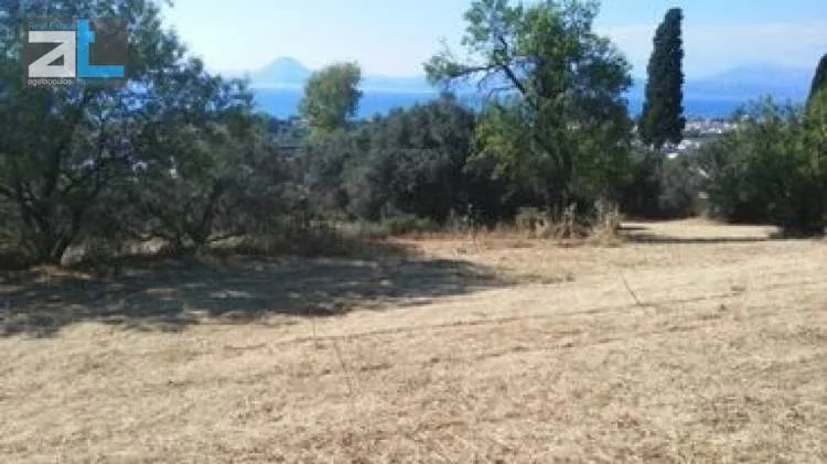 Αγροτεμάχιο 3681τ.μ.  - 5