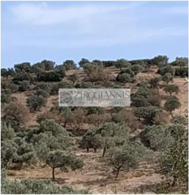 Land Parcel 7687m²  - 2
