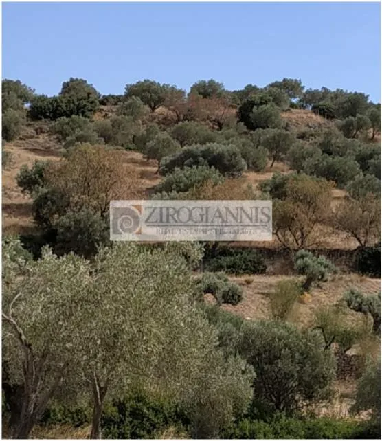 Land Parcel 7687m²  - 3
