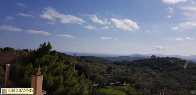 Detached house 350m²  - 4