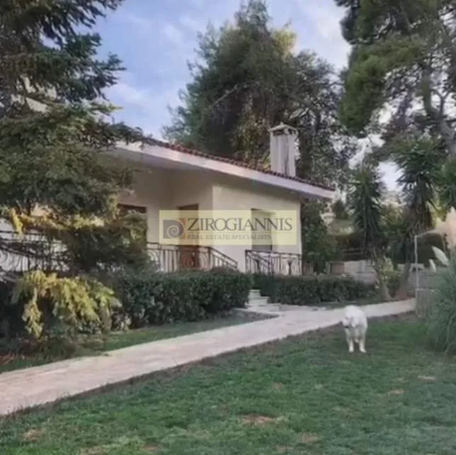 Detached house 500m²  - 4