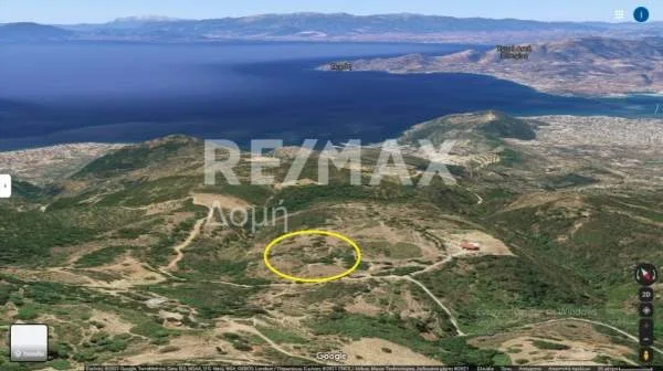 Αγροτεμάχιο 6167τ.μ.  - 3