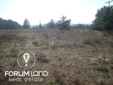 Land Parcel 5400m²  - 4