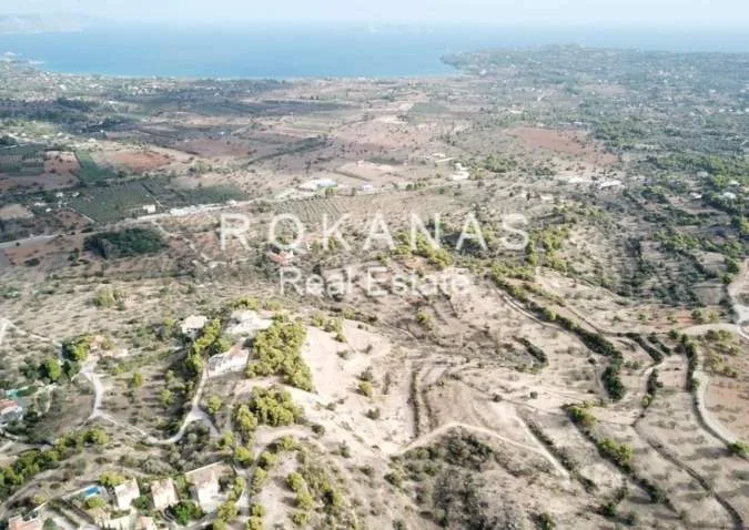 Αγροτεμάχιο 31500τ.μ.  - 2
