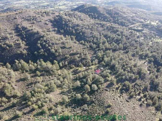 Αγροτεμάχιο 5017τ.μ.  - 2