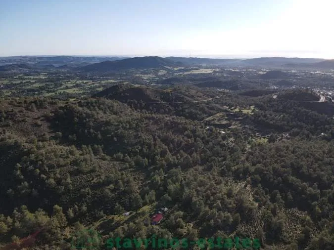Αγροτεμάχιο 5017τ.μ.  - 3