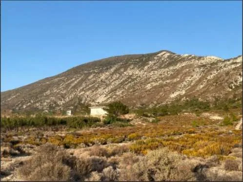 Land Parcel 24194m²  - 2