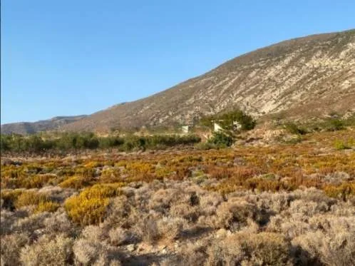 Land Parcel 24194m²  - 3