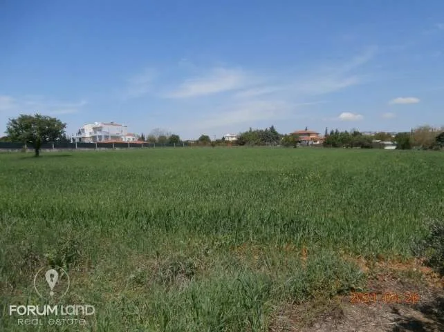 Land Parcel 7733m²  - 2