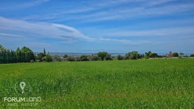 Land Parcel 7733m²  - 4