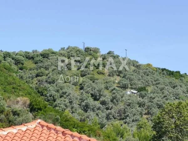 Αγροτεμάχιο 8660τ.μ.  - 3