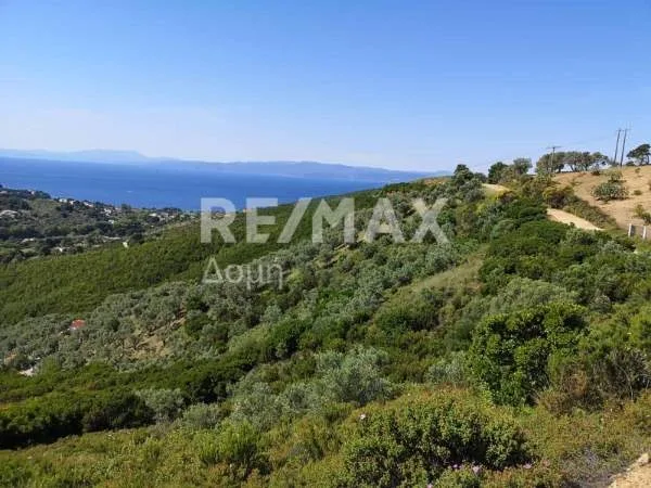 Αγροτεμάχιο 8660τ.μ.  - 5