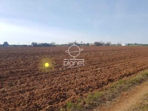 Land Parcel 5000m²  - 3