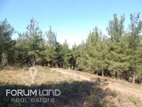 Land Parcel 29576m²  - 3