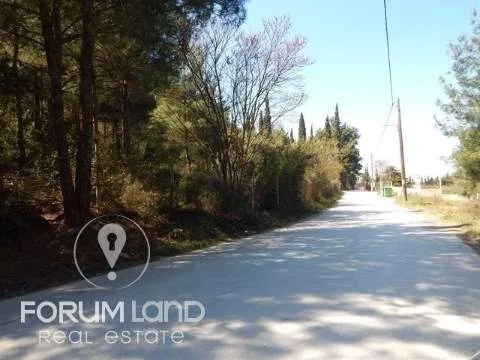 Land Parcel 29576m²  - 2