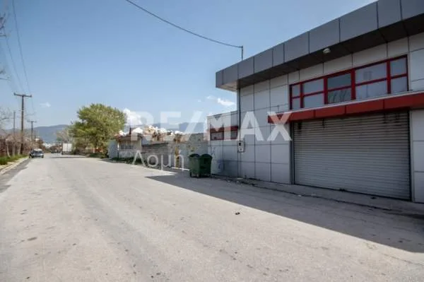 Standalone office building 577m²  - 3