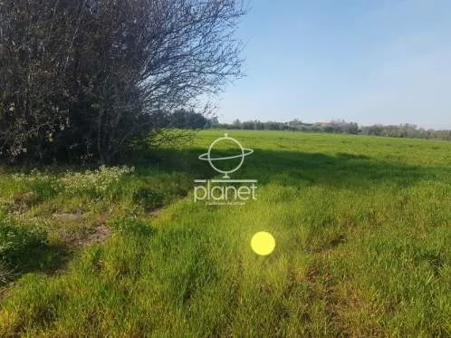 Land Parcel 4200m²  - 2