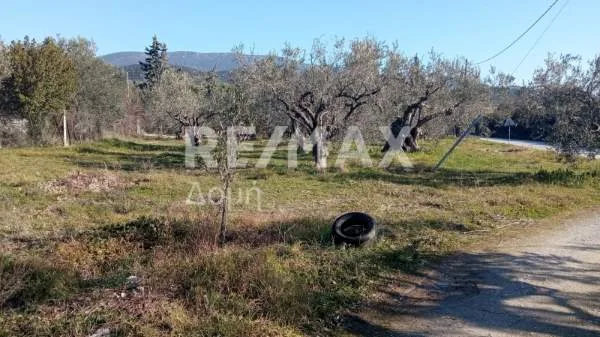 Αγροτεμάχιο 1800τ.μ.  - 4