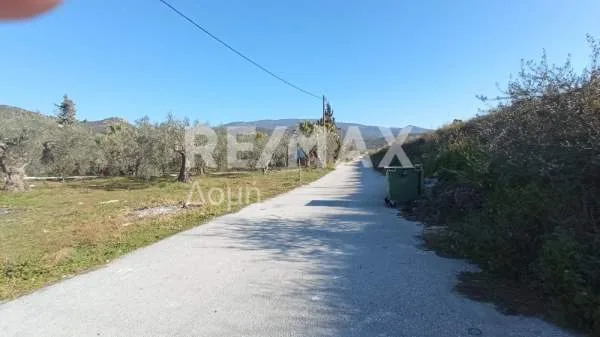 Αγροτεμάχιο 1800τ.μ.  - 5