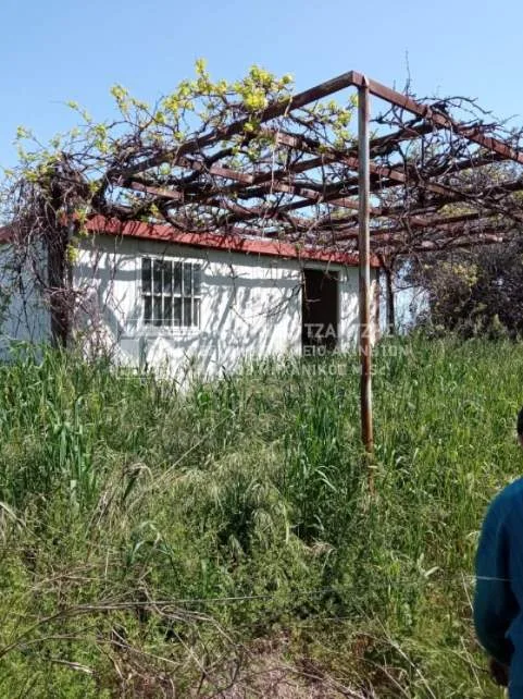 Αγροτεμάχιο 8953τ.μ.  - 2
