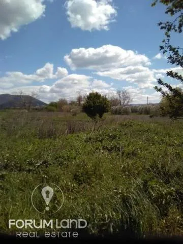Land Parcel 6226m²  - 2