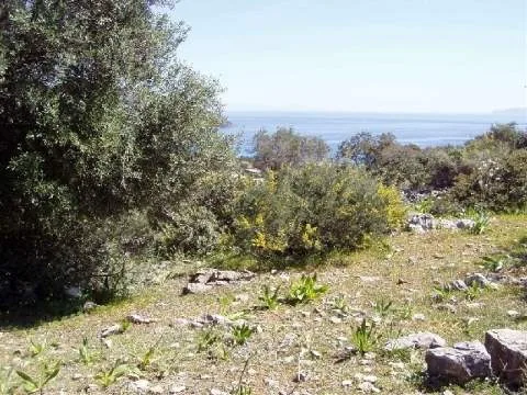 Other .. 4000m²  - 2