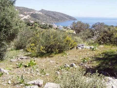 Other .. 4000m²  - 4