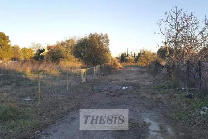 Αγροτεμάχιο 225τ.μ.  - 2