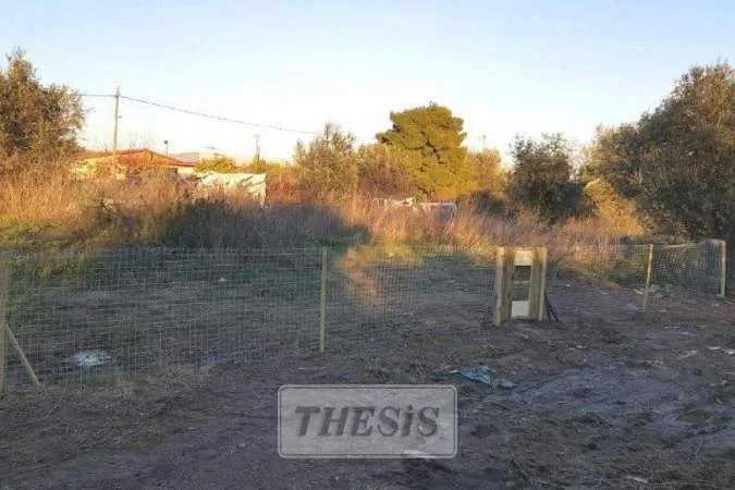 Αγροτεμάχιο 225τ.μ.  - 3