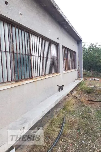 Standalone office building 325m²  - 2