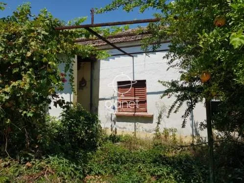 Detached house 120m²  - 4