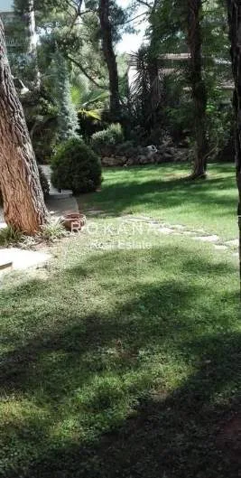 Διαμέρισμα 200τ.μ.  - 3