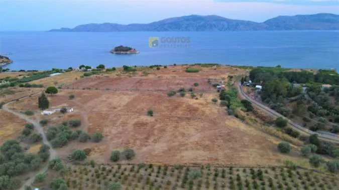 Αγροτεμάχιο 9000τ.μ.  - 2