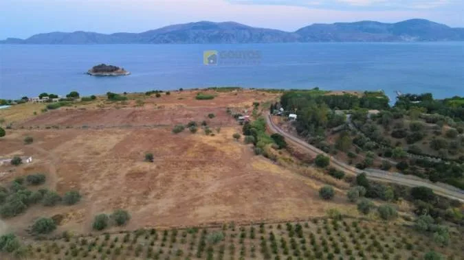 Αγροτεμάχιο 9000τ.μ.  - 3