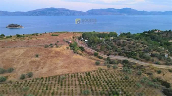 Αγροτεμάχιο 9000τ.μ.  - 4