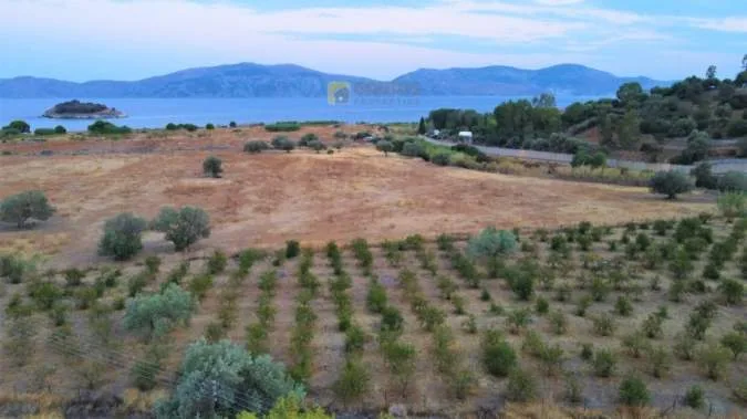 Αγροτεμάχιο 9000τ.μ.  - 5