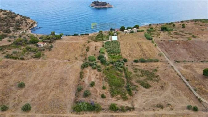 Αγροτεμάχιο 15000τ.μ.  - 3