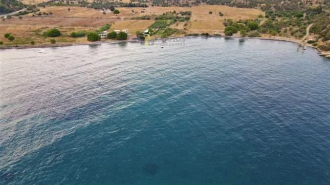 Αγροτεμάχιο 15000τ.μ.  - 5