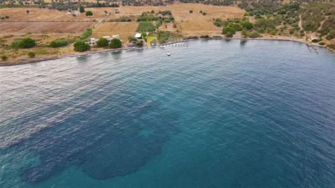 Αγροτεμάχιο 15000τ.μ.  - 2