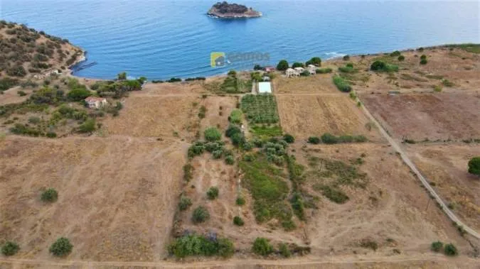 Αγροτεμάχιο 15000τ.μ.  - 3