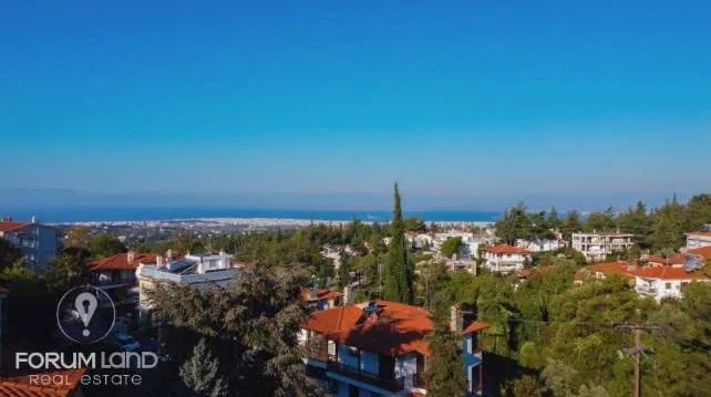 Detached house 252m²  - 4