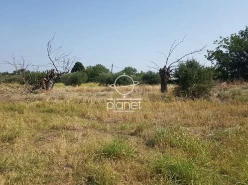 Land Parcel 5275m²  - 4