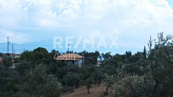 Land Parcel 4142m²  - 2