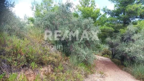 Land Parcel 4142m²  - 3